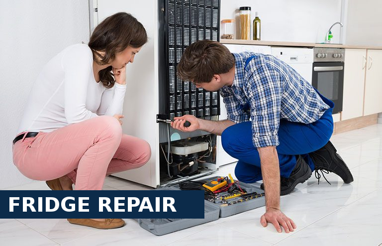 Fridge Repair Nine Elms